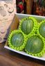 4pcs S 0.5-0.7kg Melaka baby water melon