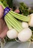 aomori turnip