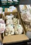 white garlic