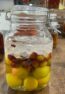 日本双拼梅酒 M 1800ml ume plum wine