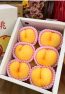 🇯🇵山梨 黄金桃 6pcs J yamanashi golden momo